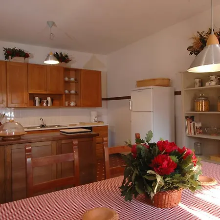 Melody * 哥尔顿